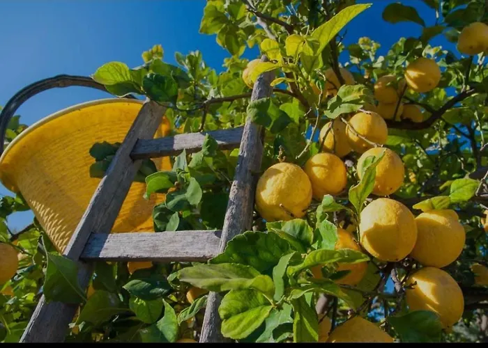 Sicilian Garden