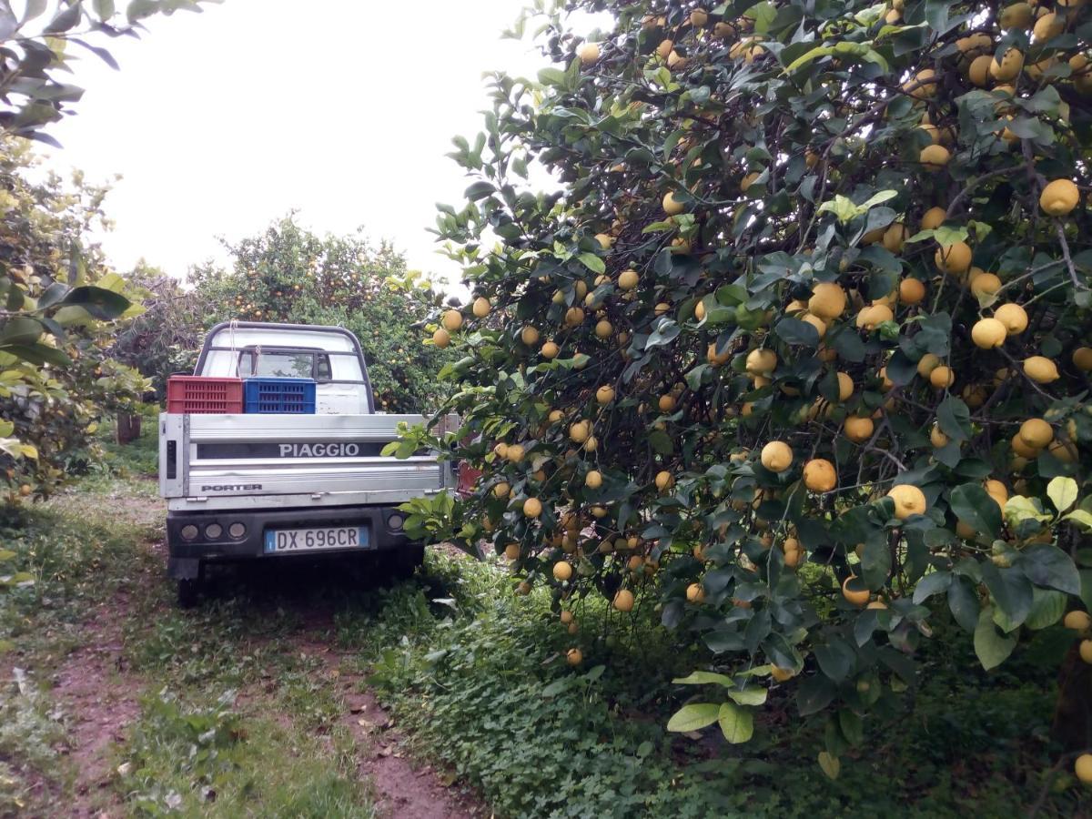Appartamento Cristalland - Oasi Campisi *