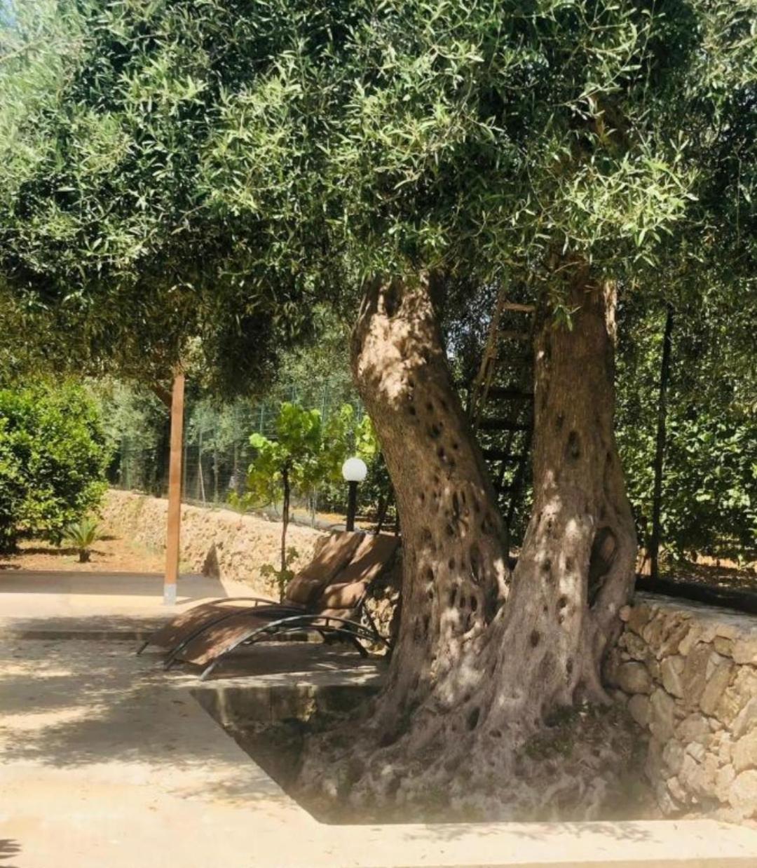 Sicilian Garden Apartment *