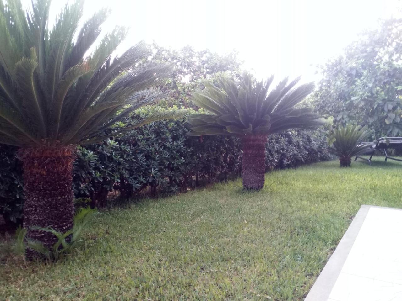 Apartment Sicilian Garden *